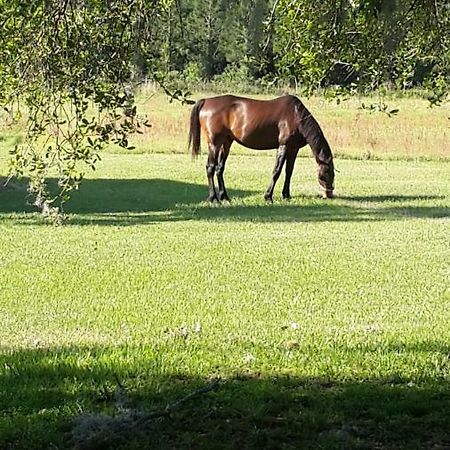 לייב אוק Kokomo Farms מראה חיצוני תמונה