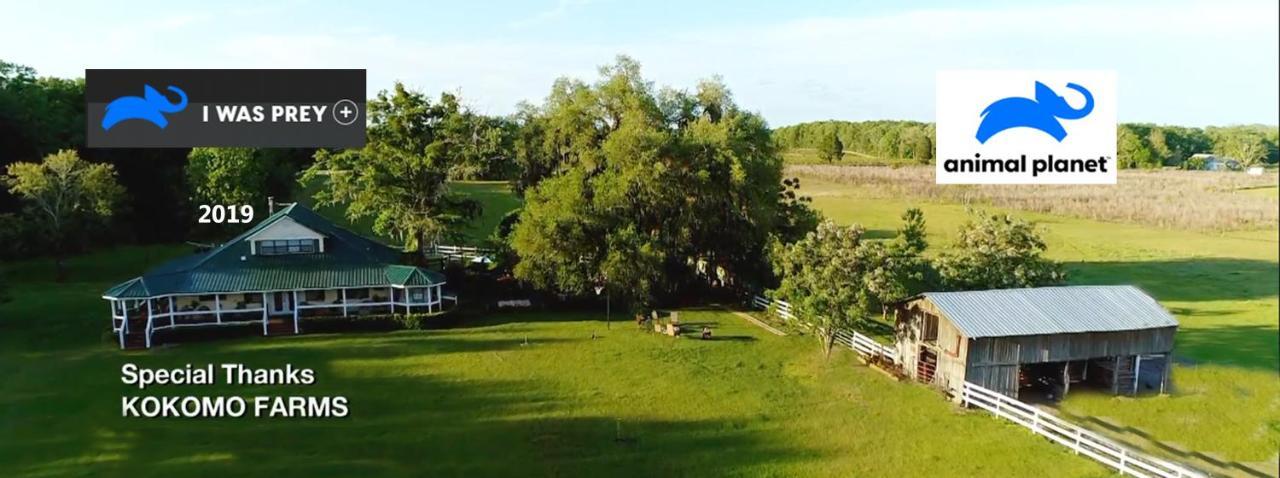 לייב אוק Kokomo Farms מראה חיצוני תמונה