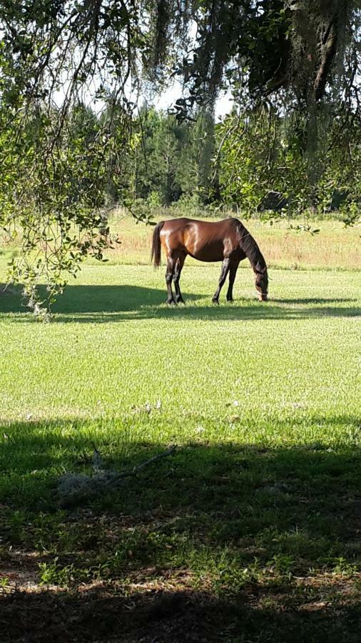 לייב אוק Kokomo Farms מראה חיצוני תמונה
