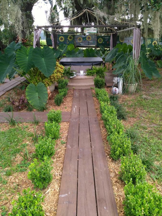 לייב אוק Kokomo Farms מראה חיצוני תמונה